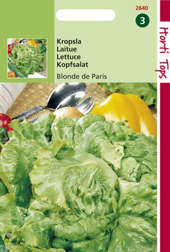 Lettuce Blonde de Paris (Lactuca sativa) 3000 seeds
